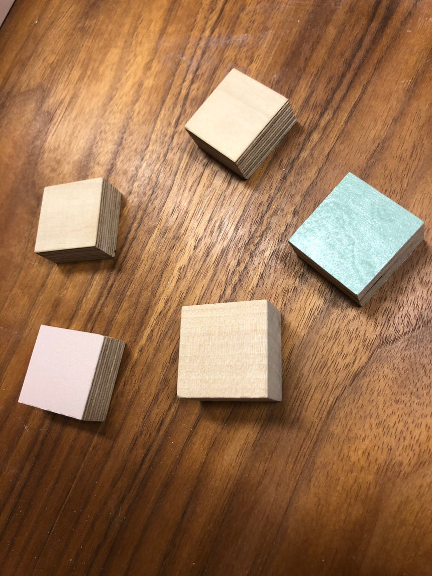 Individual Wooden Magnets